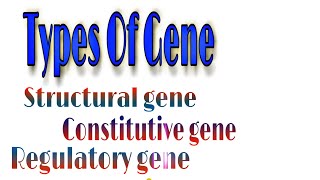Types of Gene- Structural, Constitutive, Regulatory, Jumping, Overlapping, Split gene#Bio knowledge