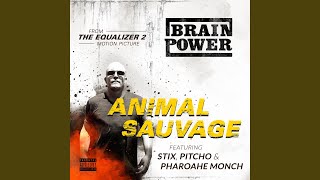 Animal Sauvage