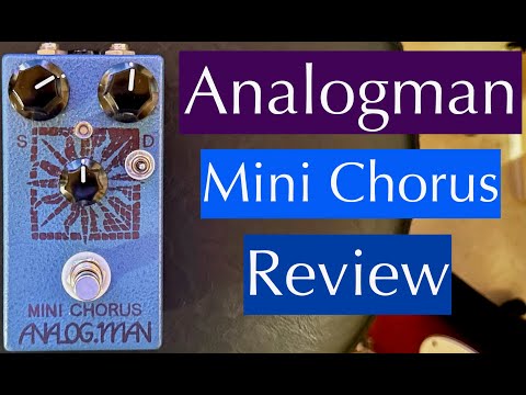 Analogman Mini Chorus image 3