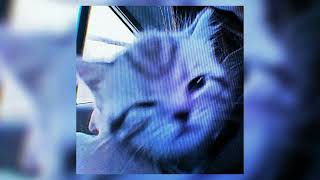 Cover art for Shinunoga e Wa Sped up