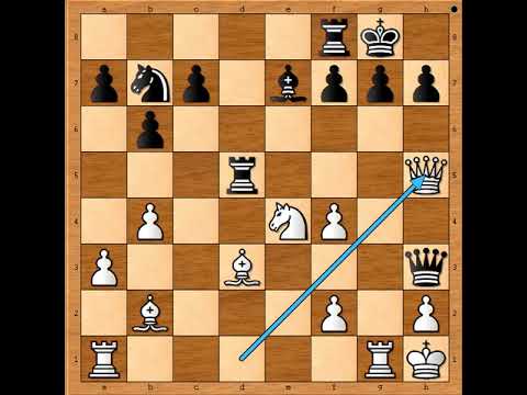 Smeli napad uz zastrašujuće žrtve    🤣💣♟💥   WINAWER vs SHUMOV # 2521