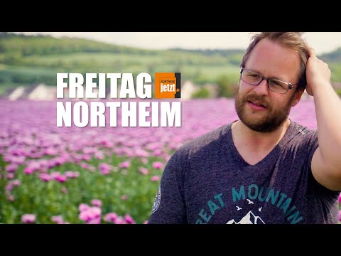 Freitag Northeim KW 21: Schöner Mohn und schrecklicher Tornado! Wochenrückblick