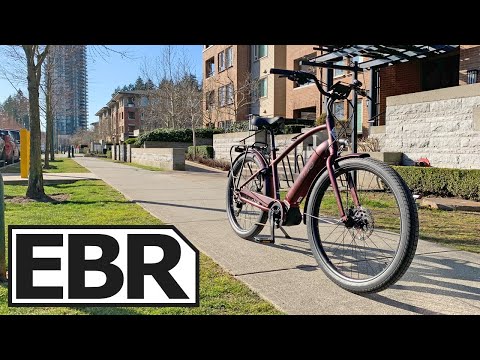 Electra Townie Path Go! 10D EQ Review - $3.7k