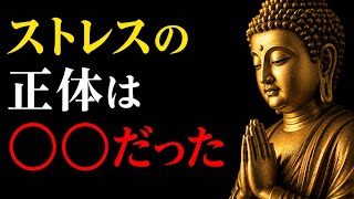 【ブッダの教え】9割の人は知らないストレスの本当の正体