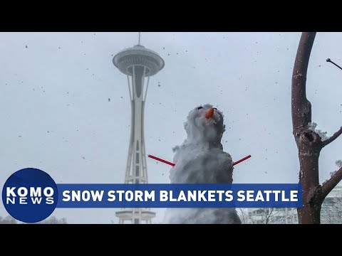 Seattle snow storm blankets city