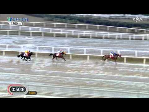 2011 The Mayor of Gwachon City Cup