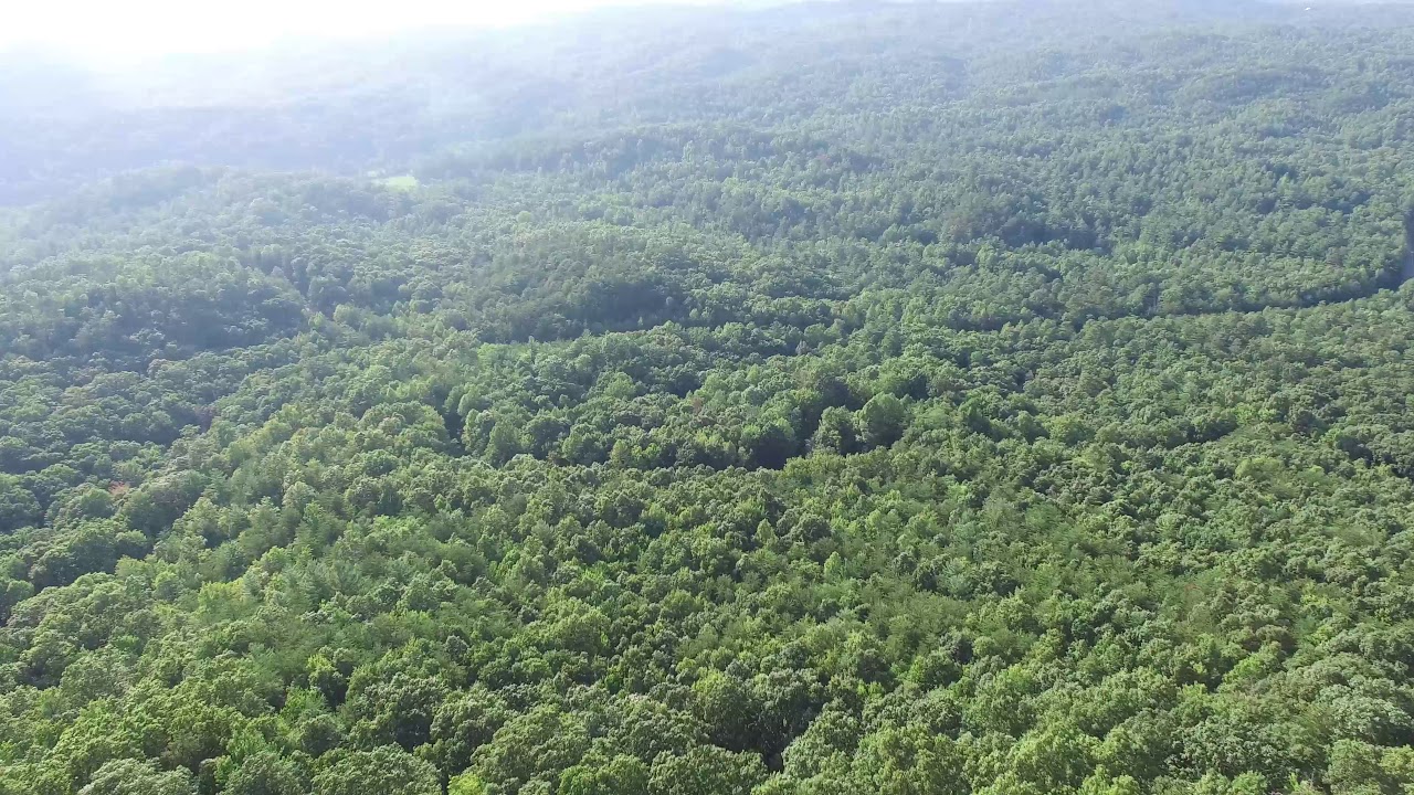 Free Forest Drone Footage || Copyright Free Videos ||  Free HD Video For Youtube