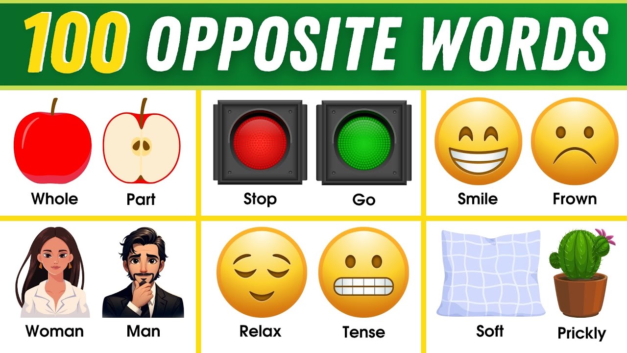 100 Opposite Words - Part 3 | Antonyms In English | Common Opposites | English Vocabulary