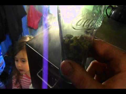 FIRST ALL GRAIN BREW DAY - PABrewNews (Home Brew Wednesday!)