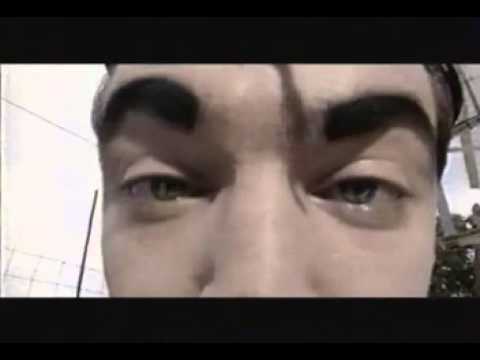 Bruno Salomone  le cochon d'Inde