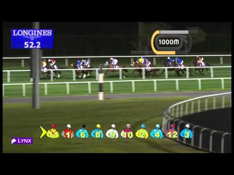 14.02.2013 Meydan (Dubai-UAE) 2.Race Jaguar XF Trophy - 1.800 m