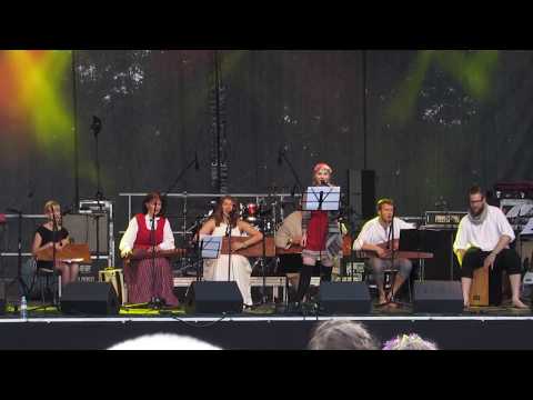 Kokļu Zapte - Salniņa