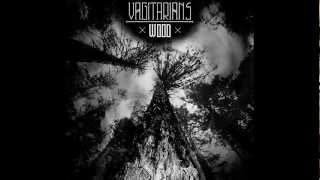 Vagitarians - 05 - Stones from the blank sky - Wood (2012)