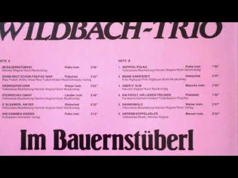 Wildbach Trio - 02 - Wenn heut schon Freitag wär