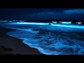 Deep Sleep White Noise Sounds - Ocean Waves Whispering ASMR For Sleeping at Carrapateira Beach