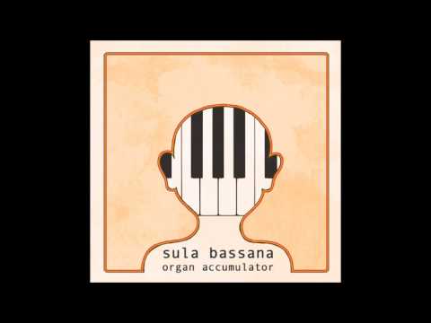 sula bassana ~ lichtbündel