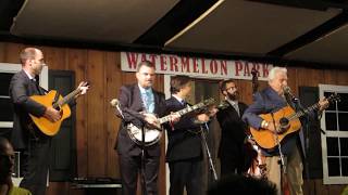 Del McCoury Band - The Shenandoah Waltz - Watermelon Park Fest 2017
