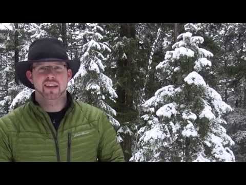 Eddie Bauer Microtherm Stormdown Jacket