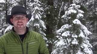 Eddie Bauer Microtherm Stormdown Jacket