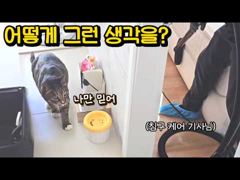 엄마집사 혼자 있는데 낯선 아저씨가 들어오자..예상 못한 고양이의 행동