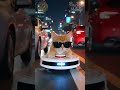 My Cat Turned Our Roomba Into A Spy Vehicle 橘貓騎掃地機器人 ロボット猫 रोबोट