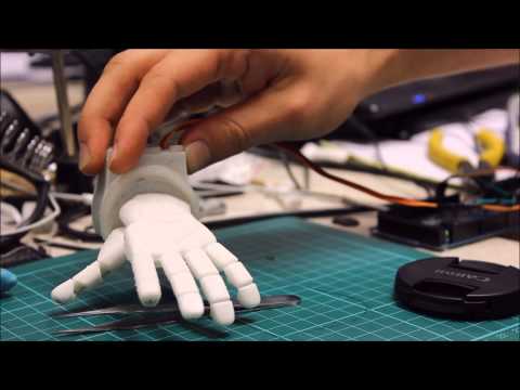 Miniture Robotic Hand
