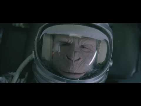 Prezident feat. Elsta - Horror Vacui (WieselSaeBeatzRemix)