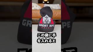 足の上で手を入れてはいけない袋の正体がまさかすぎた！