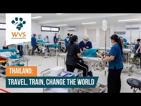 WVS Thailand: Travel, Train, Change The World