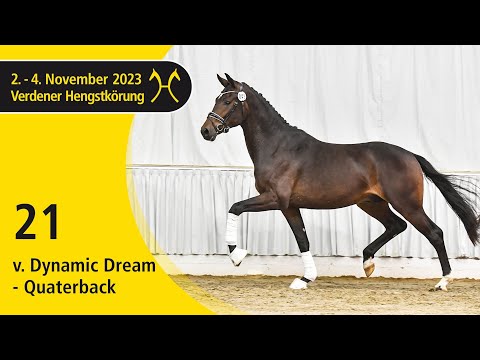 Verden Stallion Licensing 2023 - Dressage - Nov. 2-4 - No. 21 Stallion by Dynamic Dream - Quaterback