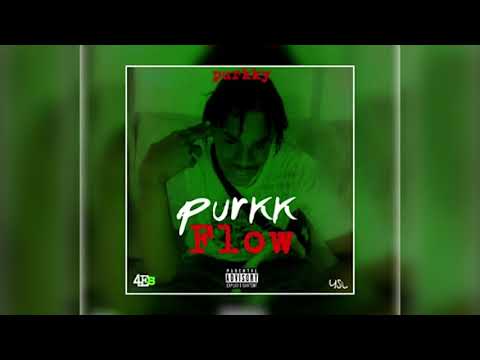 Purkky -  Purkk Flow ( Official Audio)