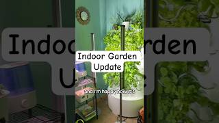 Hydroponic Garden Update - December 2025