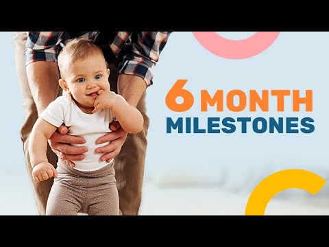 6 Month Developmental Milestones - What to Expect at 6 Months of Age