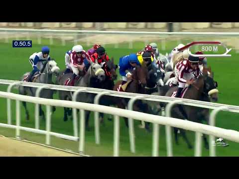 RACE 2 QATAR INTERNATIONAL CUP