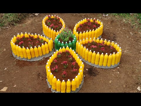 Let s grow bitter melon for your family this way it s very fruity and easy to make