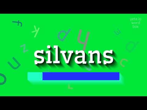 SILVANS - HOW TO PRONOUNCE SILVANS? #silvans