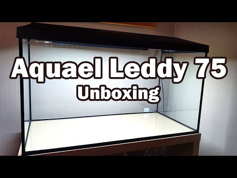 Aquael Leddy 75 Unboxing - (#101)