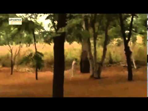 Madagaskar   In der Haut eines Lemuren Doku deutsch über Madagaskar Teil 1