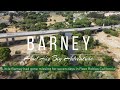 Barney S Makes It Home Safe