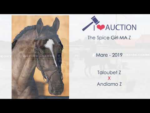 The Spice Girl MA Showvideo 2