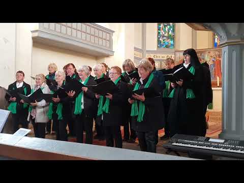 Im schönsten Wiesengrunde - St. Johannis Chor Niemegk 2025