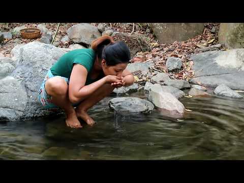 Find and meet frogs in water flow for food - Fried frogs on clay for eating delicious #27 Video