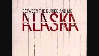 Between the Buried and Me - Autodidact (With Lyrics)