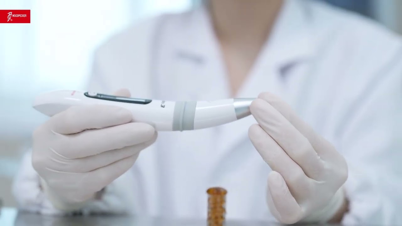 Endo 3 - An Overview