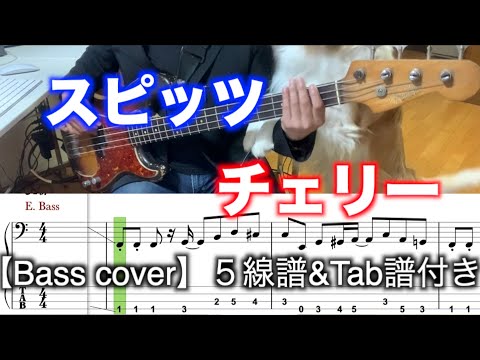 スピッツ / チェリー【Bass cover】5線譜&Tab譜付き - YouTube