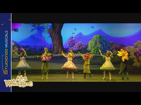 Video thumbnail for Doe De Bloemendans