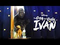 The One And Only Ivan Official Trailer Streaming On August 21