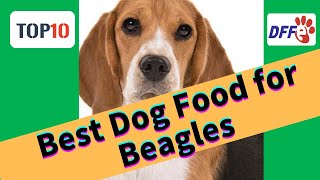 Top10 Best Dog Food for Beagles(Reviews)✅Buying Guide 2021