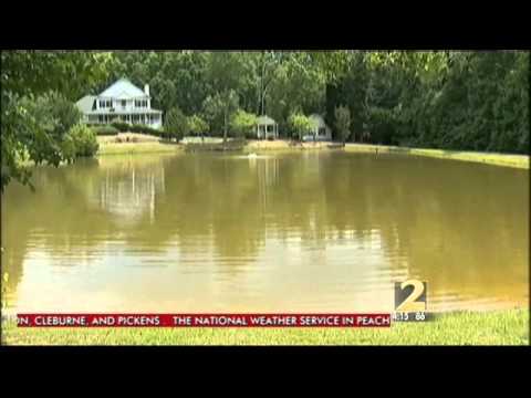 Grapevine Lake Alligator Removal Services