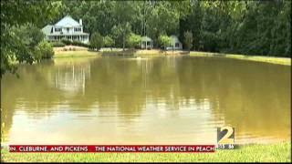 Trappers Return To Remove Alligators From Ponds